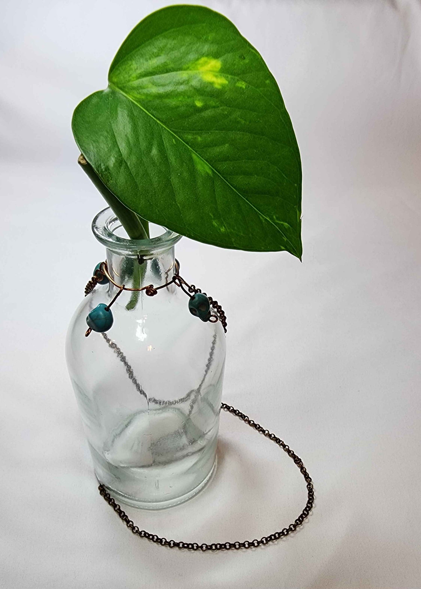 Skull Propagation Bottle
