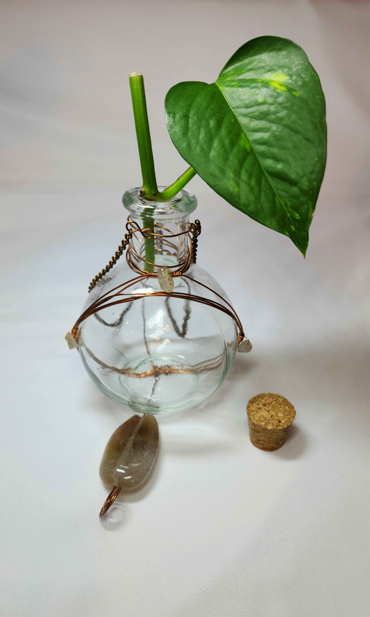 Gold Rutilated Quartz + Agate Propagation Bottles